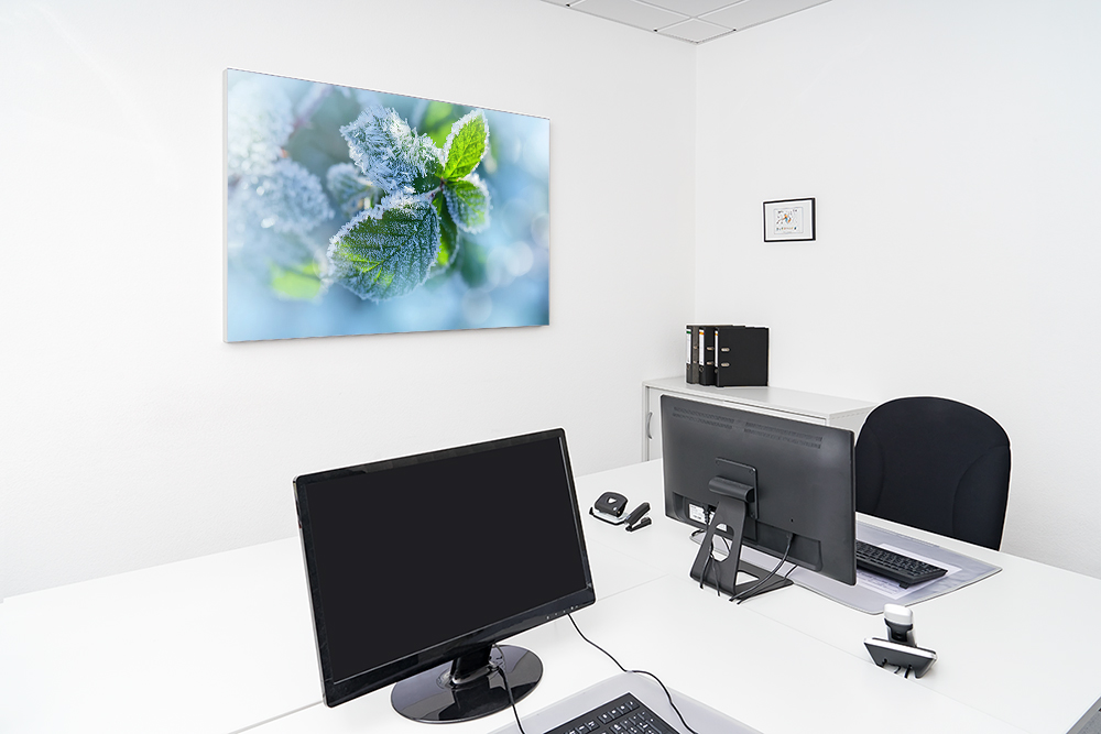 Artikelbild Absorberbild - Kräuter im Frost 50x50x5,5cm