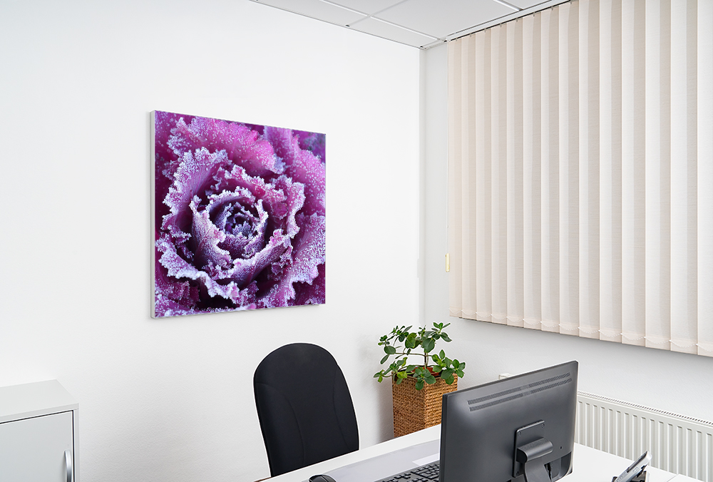 Artikelbild Absorberbild - Blüten im Frost 50x50x5,5cm