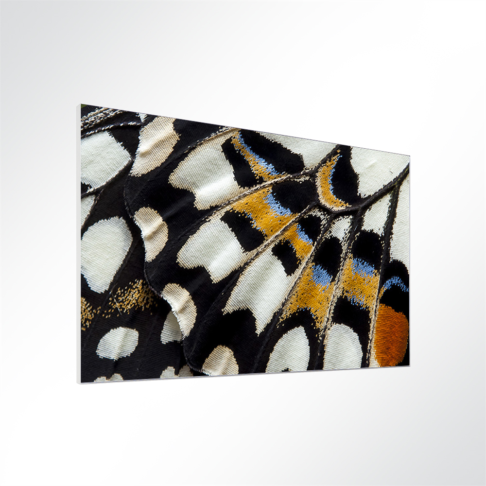 Artikelbild Absorberbild - Die Struktur des Schmetterlingsflügels 50x50x5,5cm