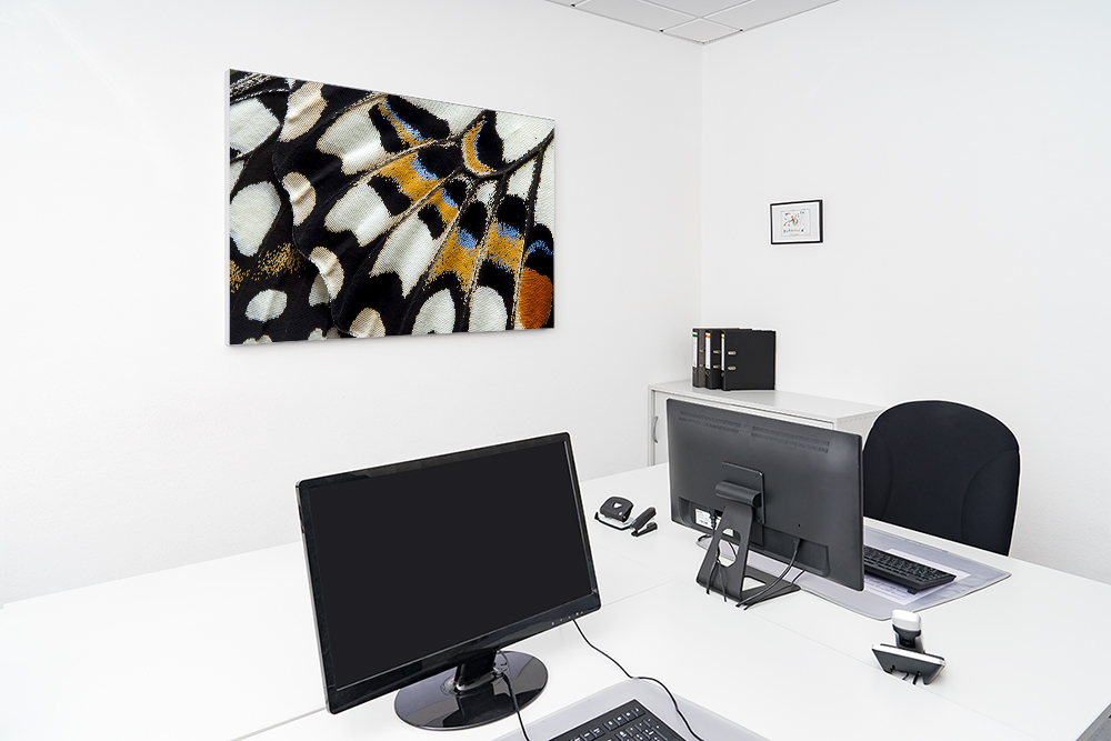 Artikelbild Absorberbild - Die Struktur des Schmetterlingsflügels 50x50x5,5cm