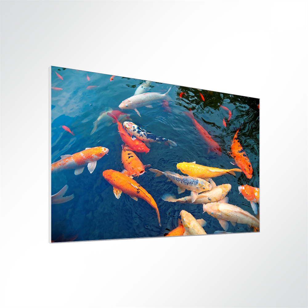 Artikelbild Absorberbild - Koi Fütterung 50x50x5,5cm