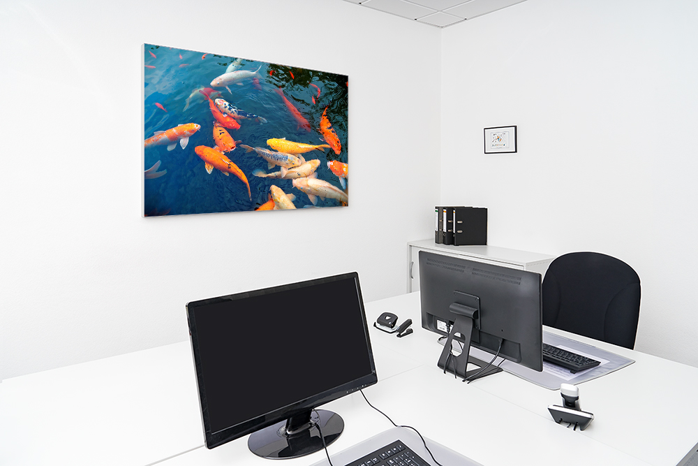 Artikelbild Absorberbild - Koi Fütterung 50x50x5,5cm