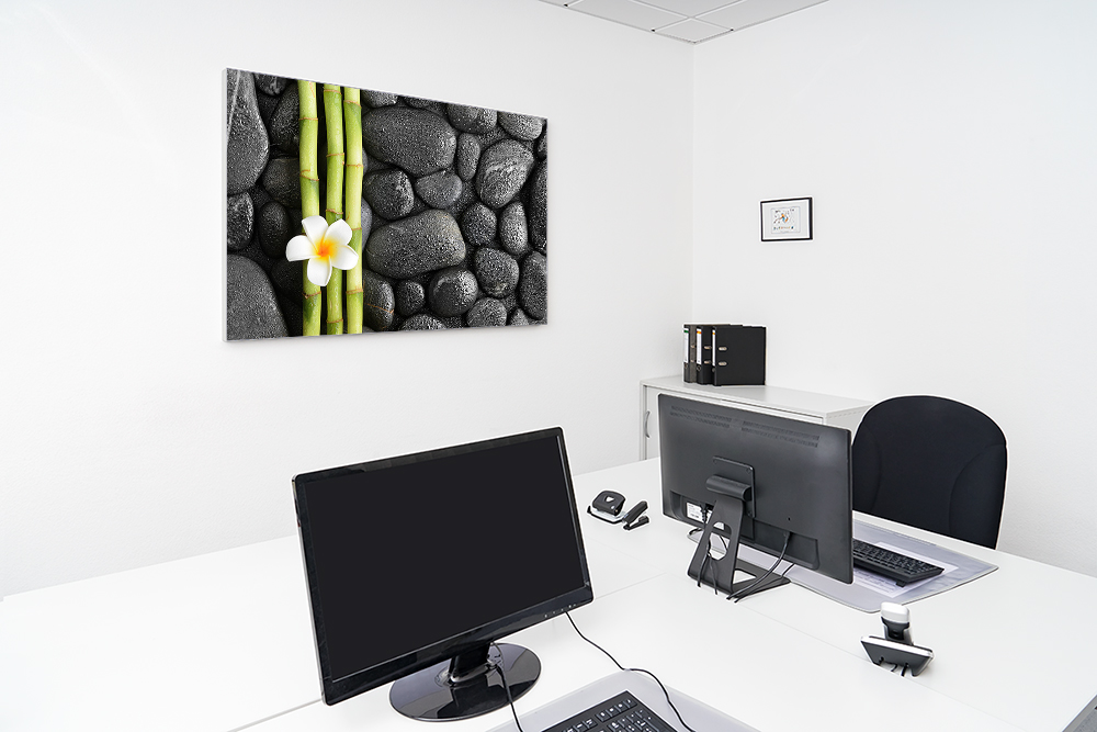 Artikelbild Absorberbild - Weiße Frangipani Blüte 50x50x5,5cm