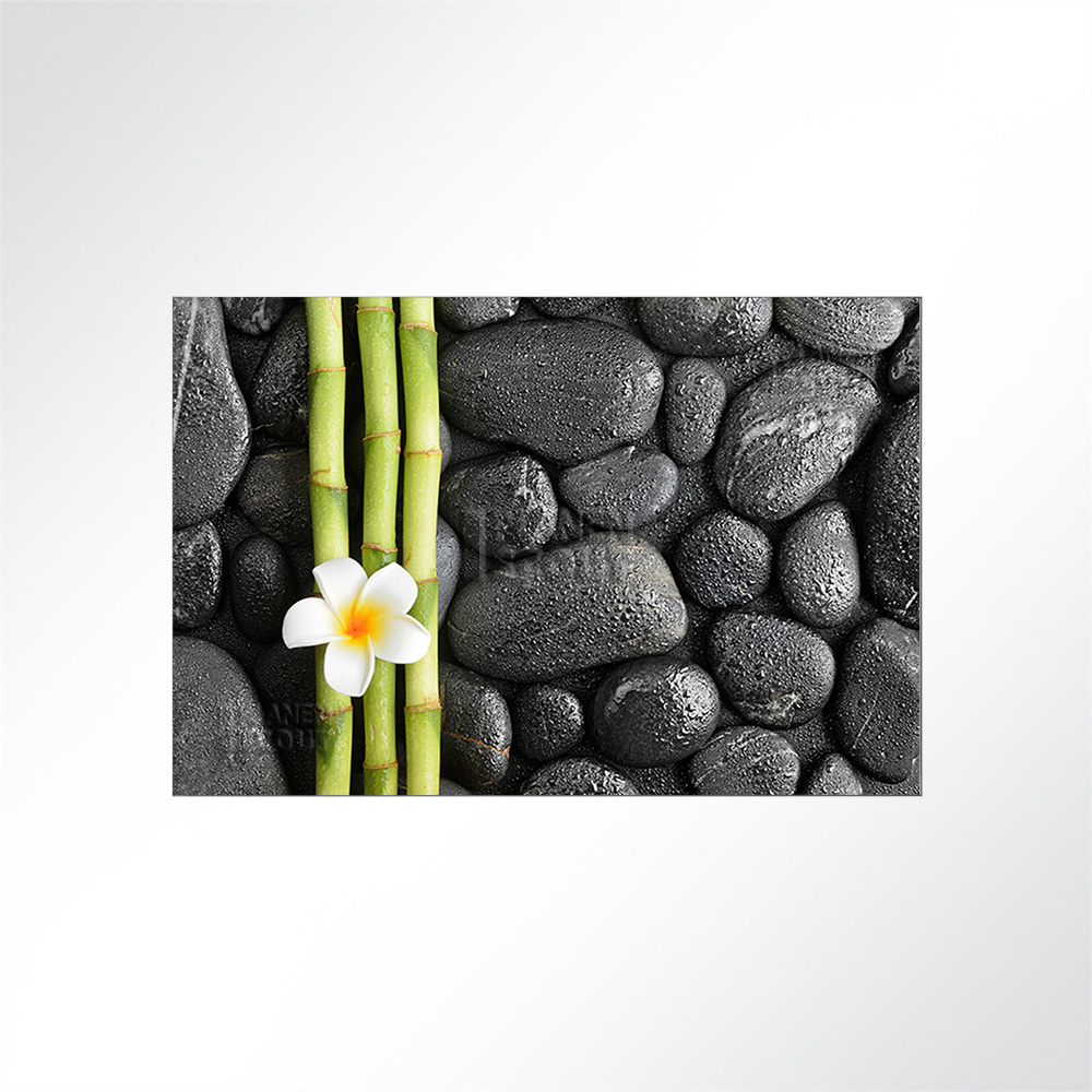 Artikelbild Absorberbild - Weiße Frangipani Blüte 50x50x5,5cm