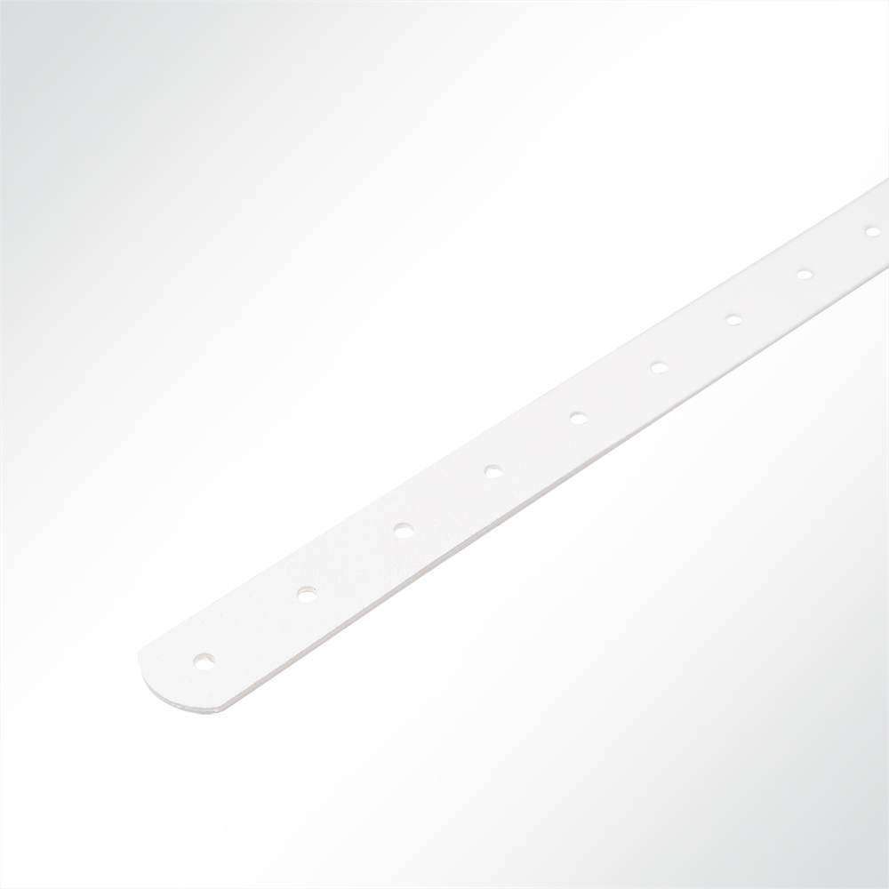 Artikelbild Strippe für Schnallriemen an Planen Anhänger, Länge 600mm, Weiß