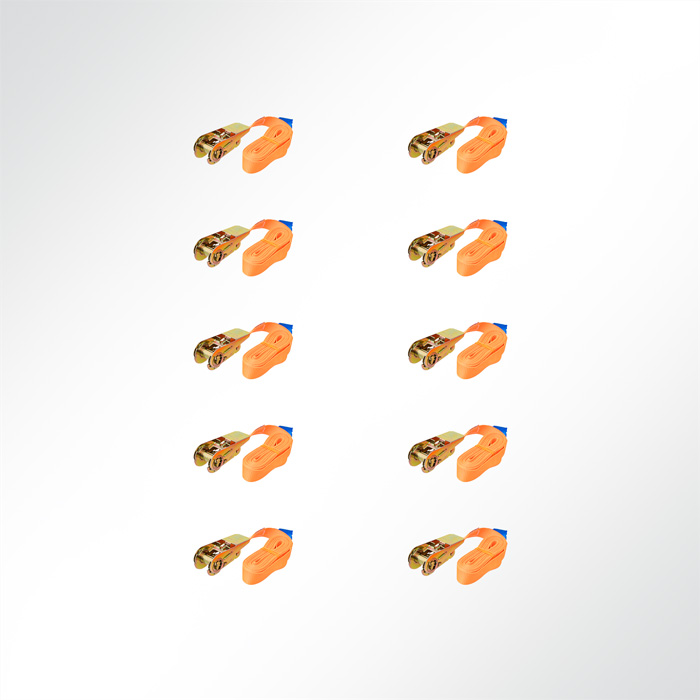 5m x 25mm 800kg Spanngurt Spannseil Ratschenspanngurt mit Ratsche